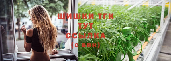 PSILOCYBIN Балабаново